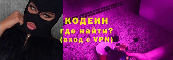мет Бородино