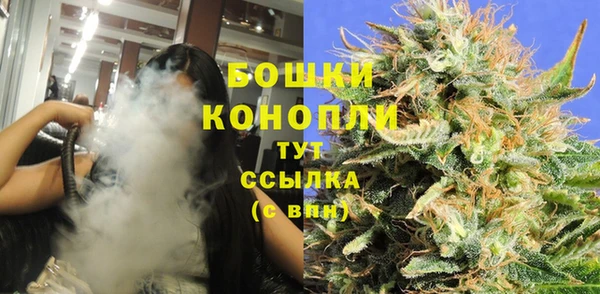 мет Бородино