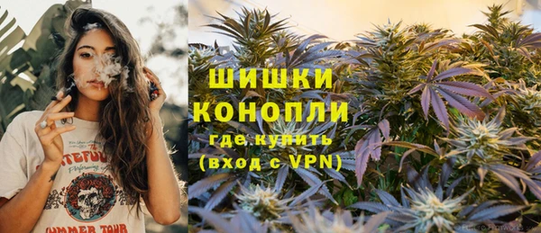 мет Бородино