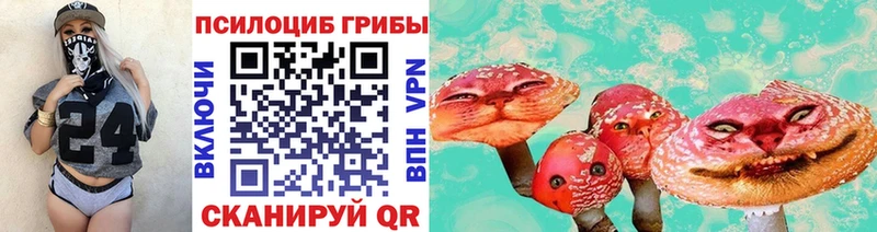 Псилоцибиновые грибы Psilocybe  как найти   Сочи 